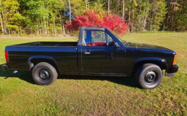 Dodge-Dakota-1989-black-214042-1