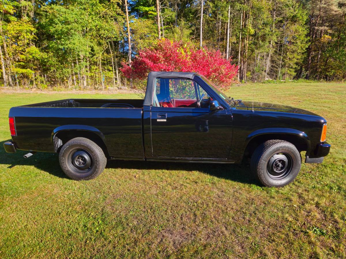 Dodge-Dakota-1989-black-214042-1