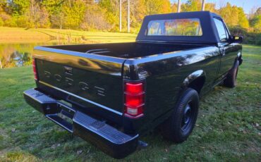 Dodge-Dakota-1989-black-214042-10