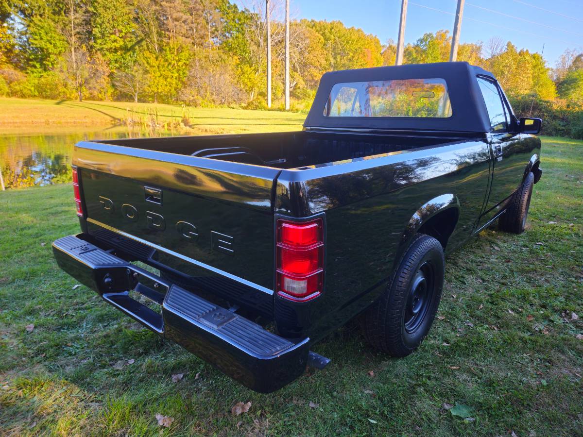 Dodge-Dakota-1989-black-214042-10