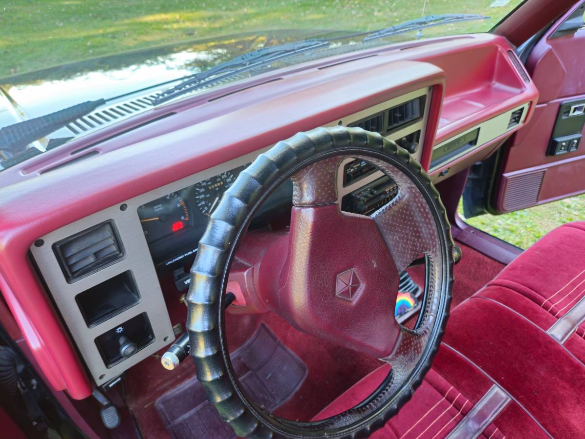 Dodge-Dakota-1989-black-214042-19