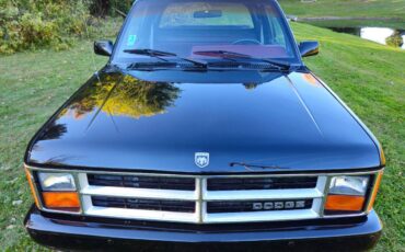 Dodge-Dakota-1989-black-214042-2