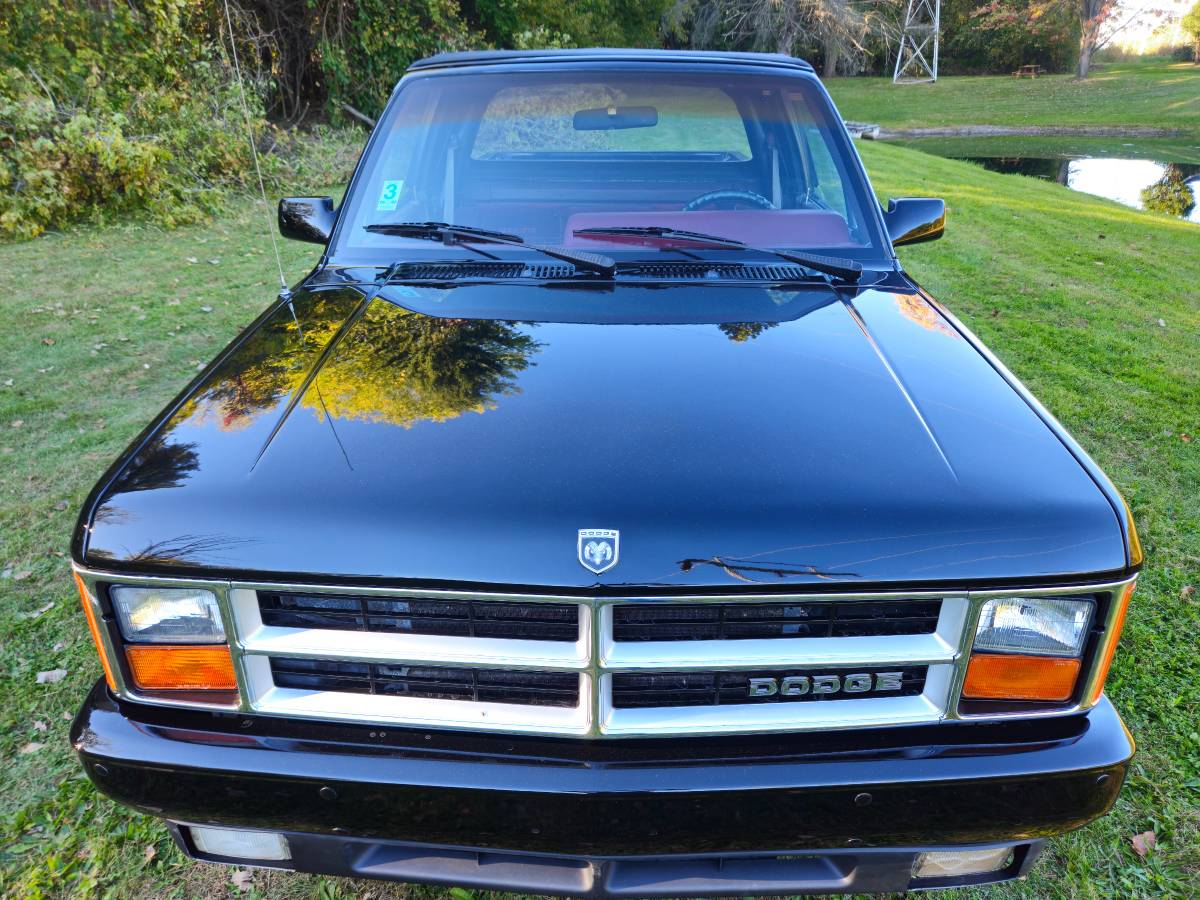 Dodge-Dakota-1989-black-214042-2