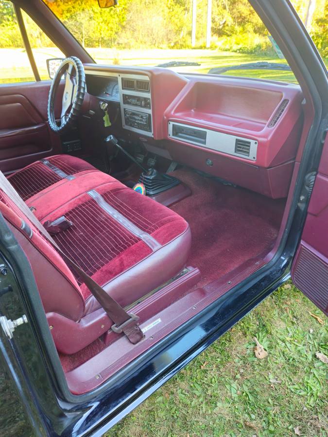 Dodge-Dakota-1989-black-214042-22