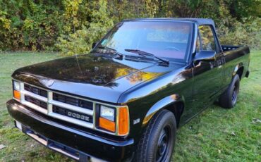 Dodge-Dakota-1989-black-214042-23