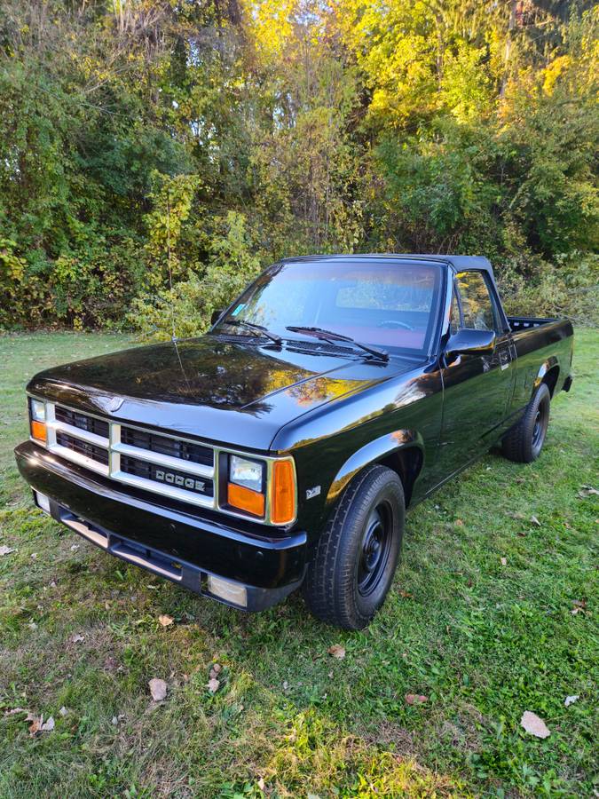 Dodge-Dakota-1989-black-214042-23