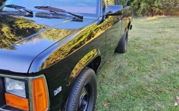 Dodge-Dakota-1989-black-214042-3