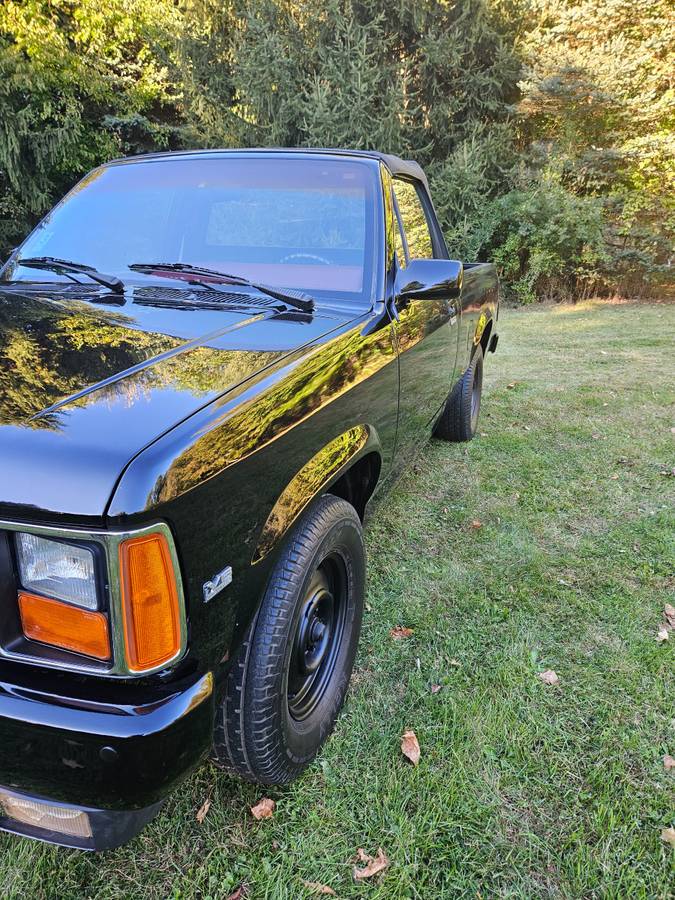 Dodge-Dakota-1989-black-214042-3