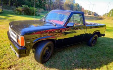 Dodge-Dakota-1989-black-214042