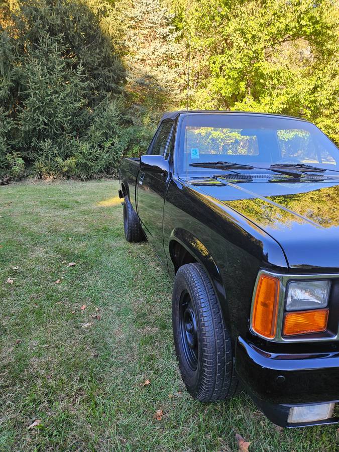 Dodge-Dakota-1989-black-214042-4