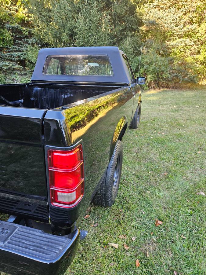 Dodge-Dakota-1989-black-214042-5