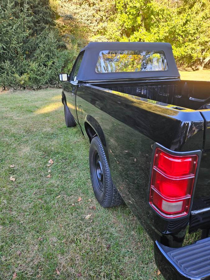 Dodge-Dakota-1989-black-214042-6