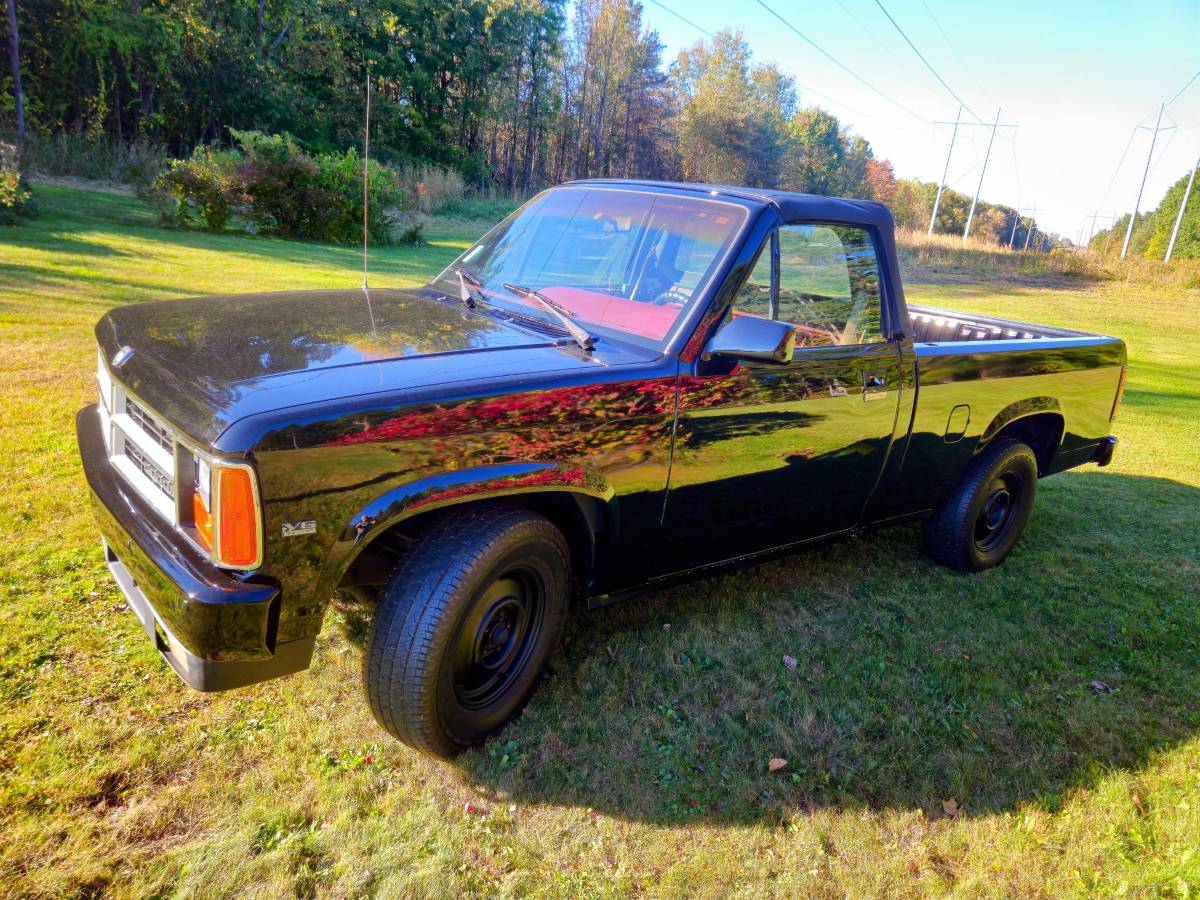 Dodge-Dakota-1989-black-214042