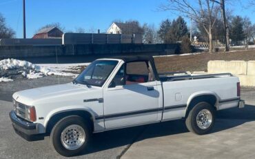 Dodge-Dakota-1990-white-334743-1