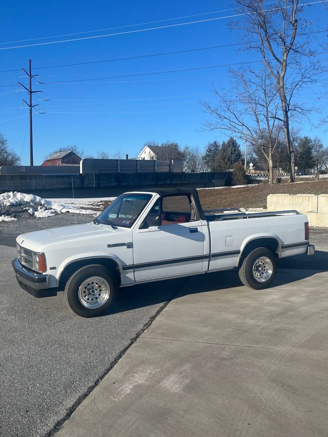 Dodge-Dakota-1990-white-334743-1