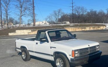 Dodge-Dakota-1990-white-334743-11