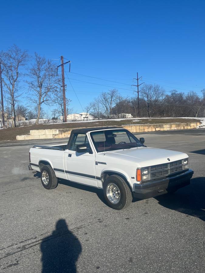 Dodge-Dakota-1990-white-334743-11