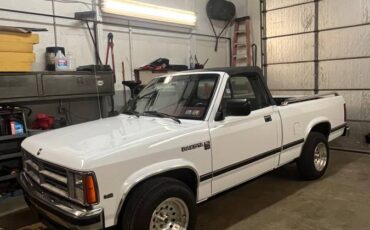 Dodge-Dakota-1990-white-334743-13