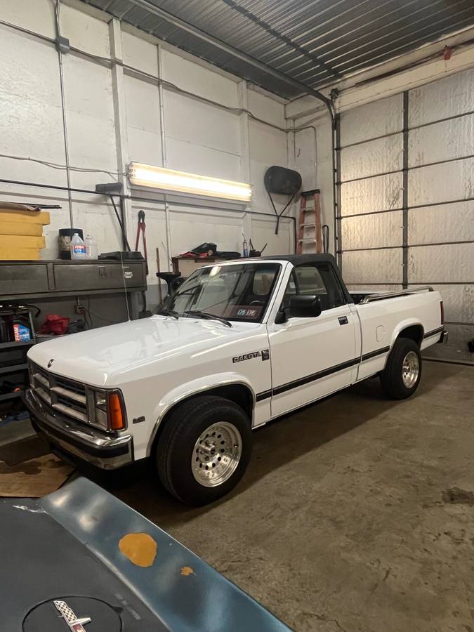 Dodge-Dakota-1990-white-334743-13