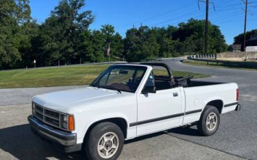 Dodge-Dakota-1990-white-334743-2