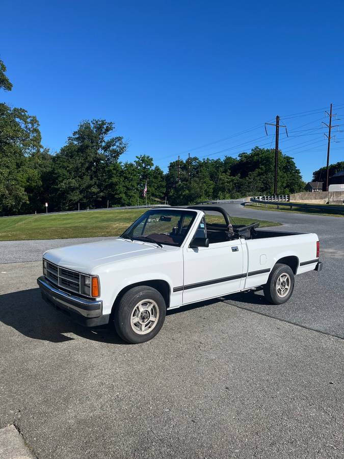 Dodge-Dakota-1990-white-334743-2