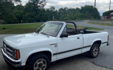 Dodge-Dakota-1990-white-334743