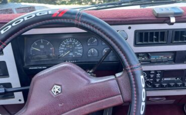 Dodge-Dakota-1990-white-334743-9