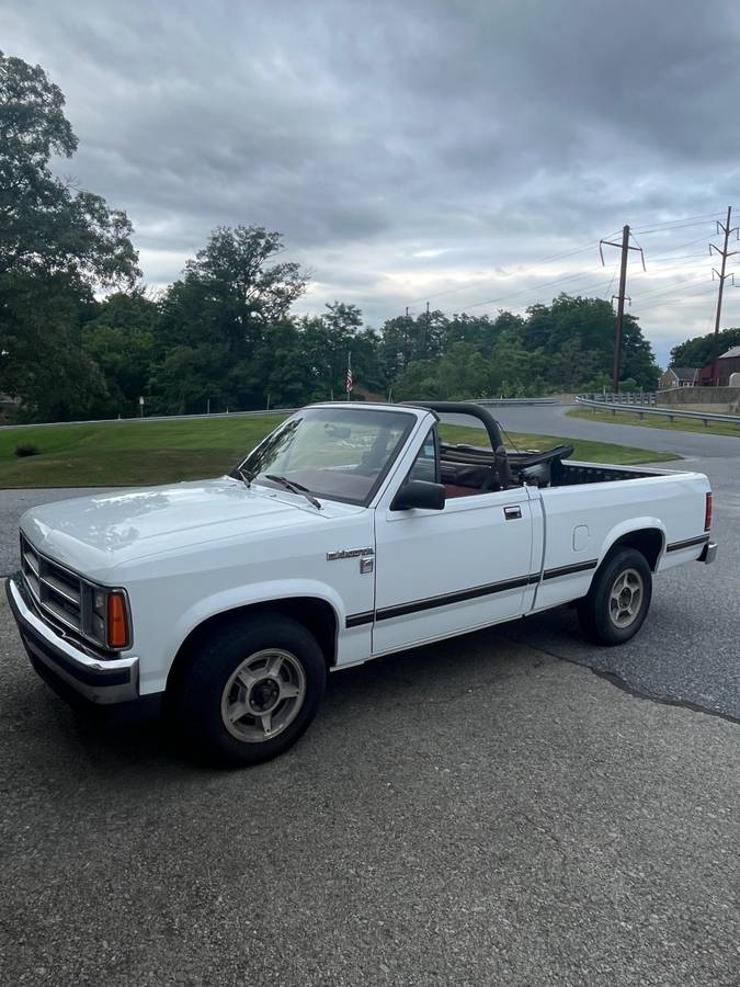 Dodge-Dakota-1990-white-334743