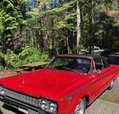 Dodge-Polara-1965-red-19867-4