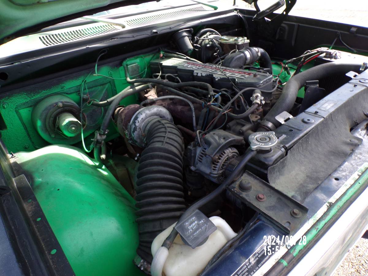 Dodge-Power-wagon-diesel-1979-green-136794-12