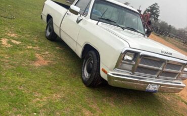 Dodge-Ram-1982-custom-64374-2