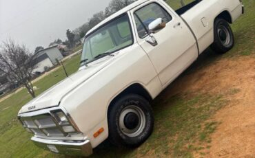 Dodge-Ram-1982-custom-64374