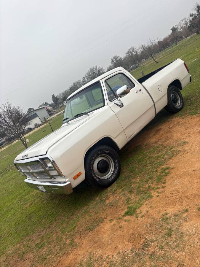 Dodge-Ram-1982-custom-64374