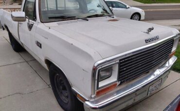 Dodge-Ram-d250-diesel-1989-white-57228-2