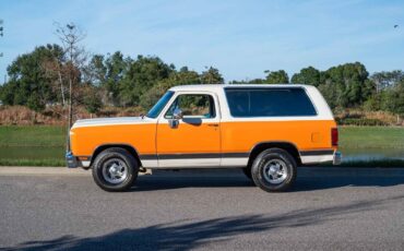 Dodge-Ramcharger-1990-Orange-Gray-159320-1