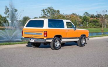 Dodge-Ramcharger-1990-Orange-Gray-159320-5