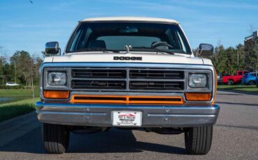 Dodge-Ramcharger-1990-Orange-Gray-159320-9