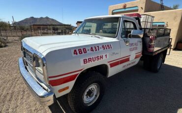 Dodge-W-series-w200-1992-white-219662-1