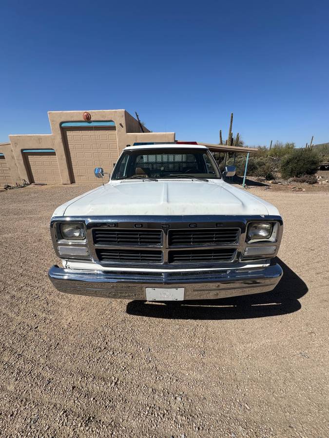 Dodge-W-series-w200-1992-white-219662-2