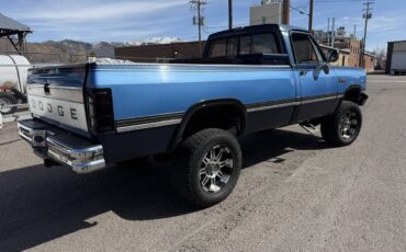 Dodge-W250-diesel-1991-blue-315431-3