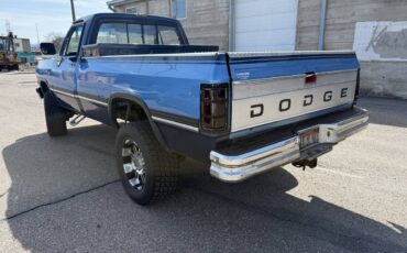 Dodge-W250-diesel-1991-blue-315431-4