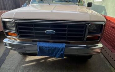 Ford-Bronco-1984-brown-289681-10