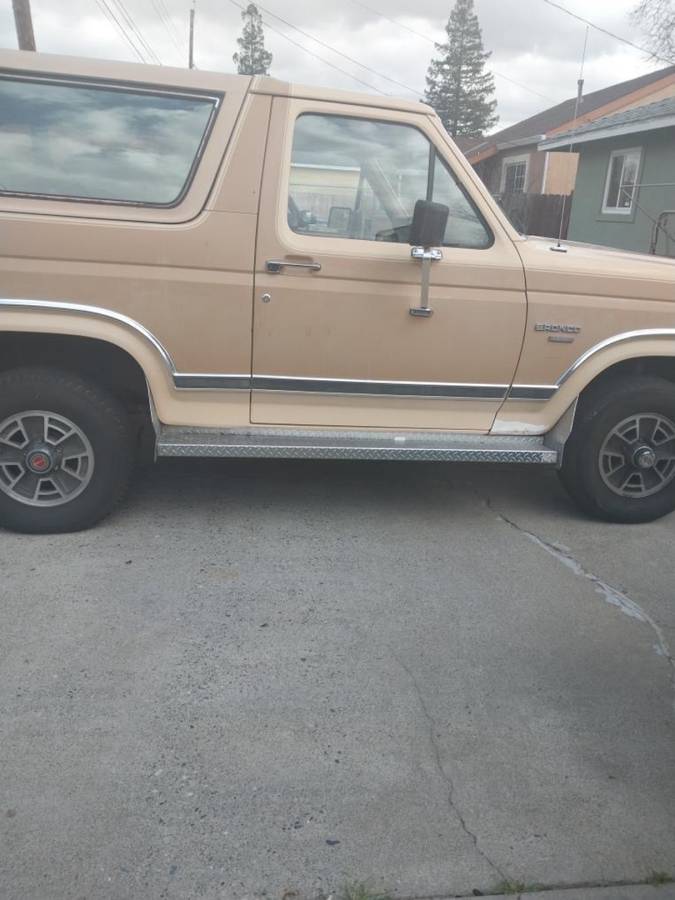 Ford-Bronco-1984-brown-289681-2