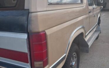 Ford-Bronco-1984-brown-289681-3