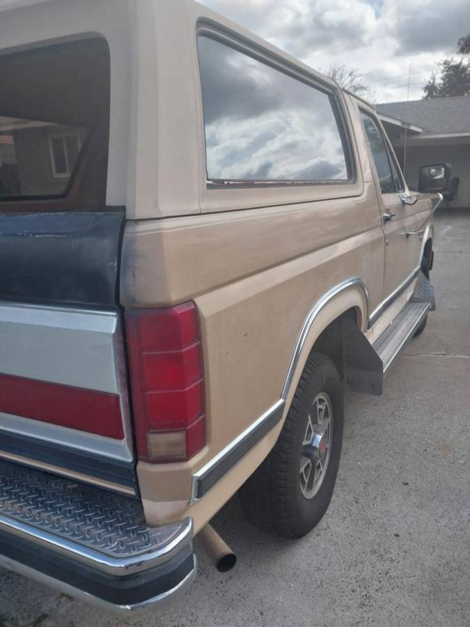 Ford-Bronco-1984-brown-289681-3