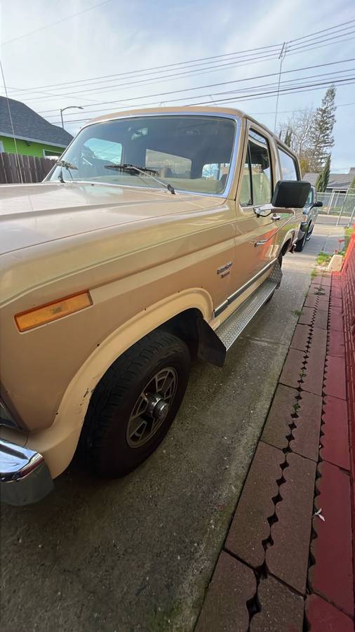 Ford-Bronco-1984-brown-289681-6