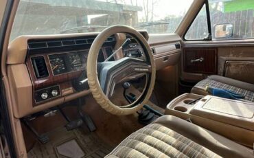 Ford-Bronco-1984-brown-289681-7