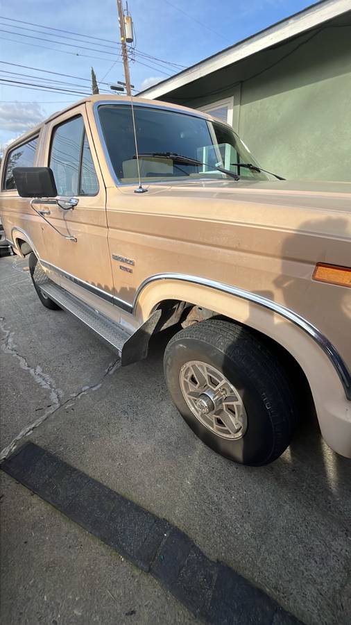 Ford-Bronco-1984-brown-289681-8