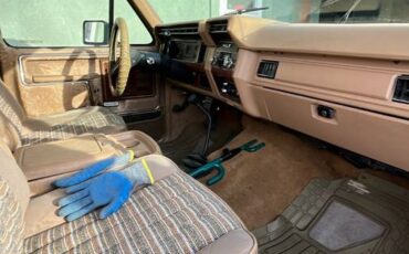 Ford-Bronco-1984-brown-289681-9