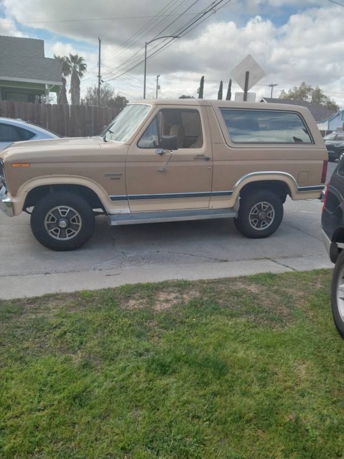 Ford-Bronco-1984-brown-289681